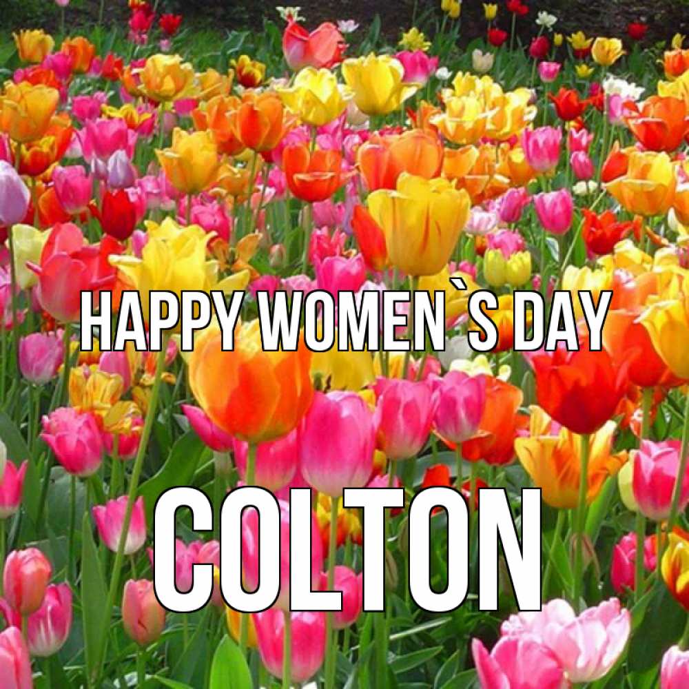 Greetings card с именем, Colton happy women`s day на международный женский день Greetings with text for free download 